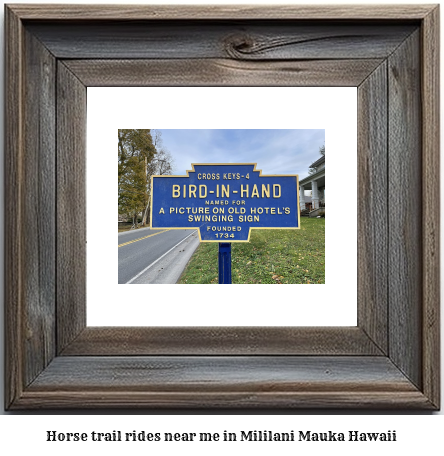 horse trail rides near me in Mililani Mauka, Hawaii